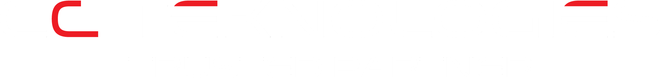 CC-Teknologies Security Systems